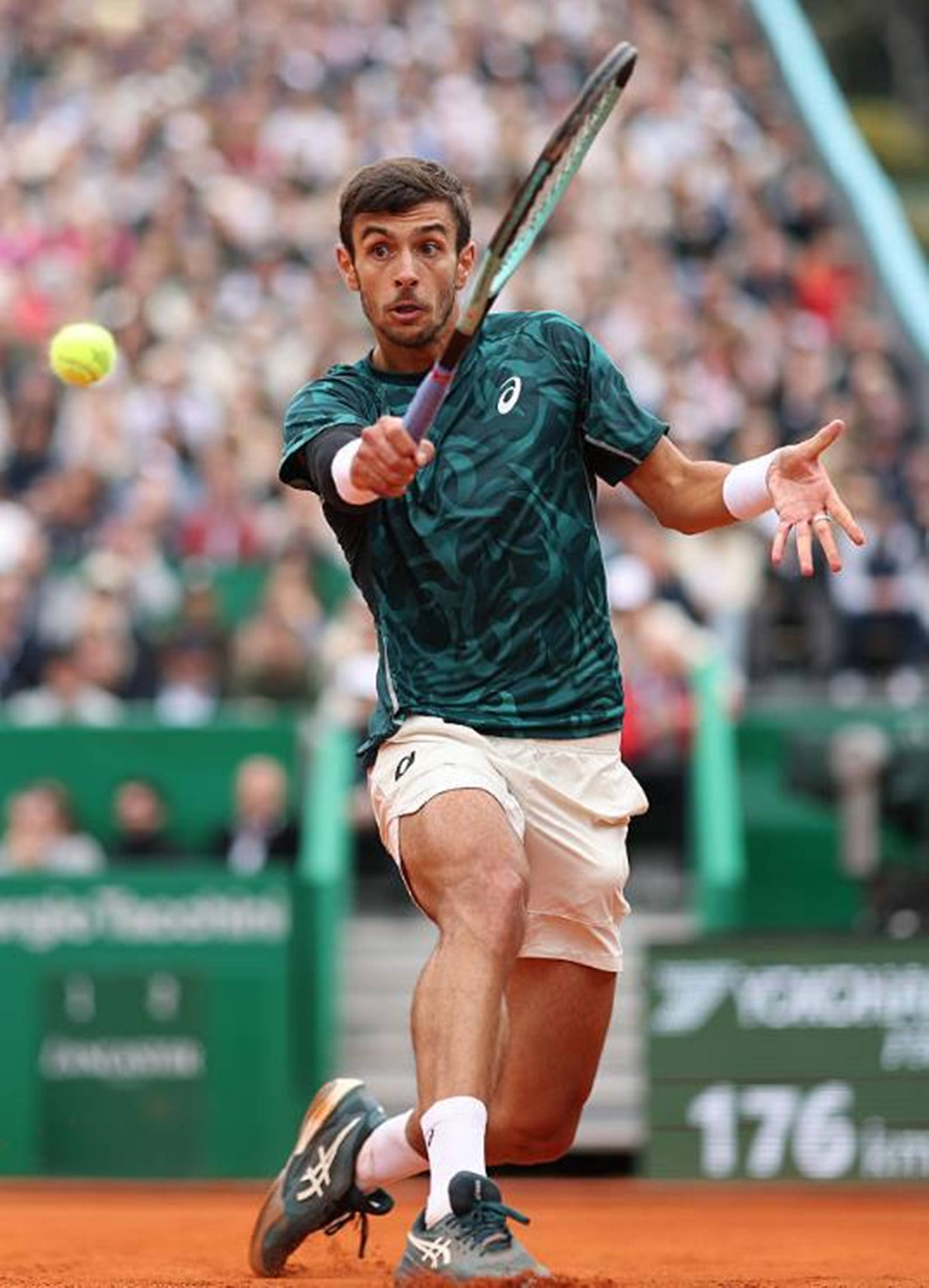 教练泰尔齐 教练泰尔齐